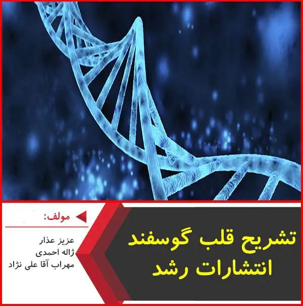 دانلود pdf جزوه تشریح طرز عملکرد قلب گوسفند
