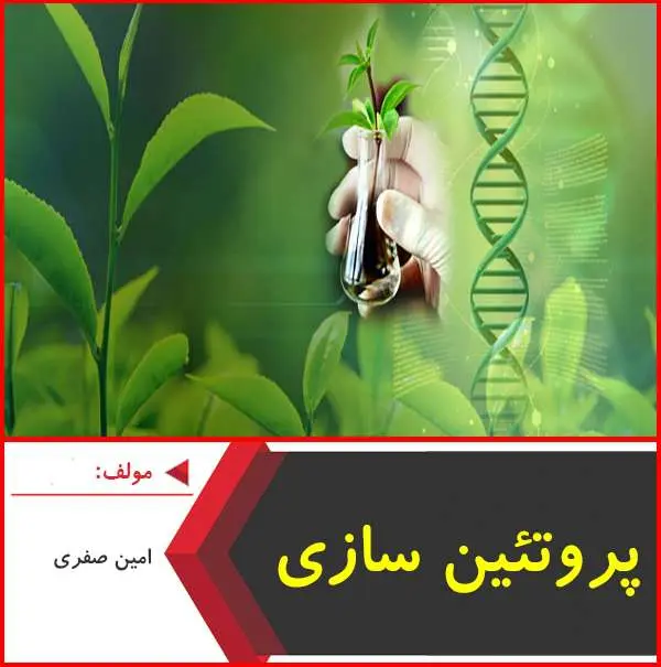 دانلود pdf جزوه پروئتین سازی| امین صفری
