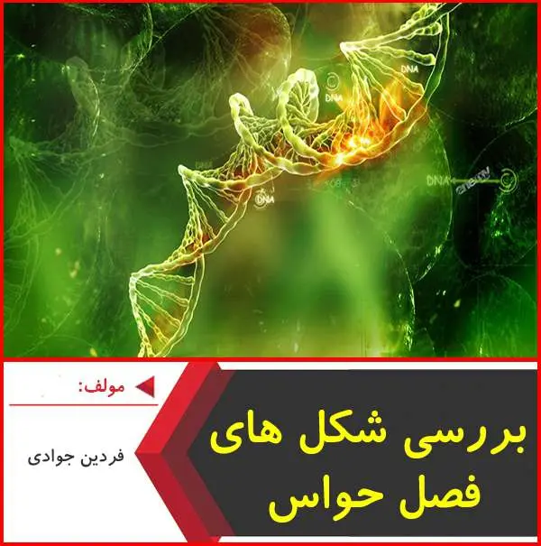 دانلود pdf جزوه شکل های فصل حواس زیست|جوادی