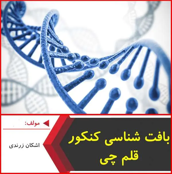 دانلود pdf جزوه بافت شناسی کنکور-قلم چی | زرندی