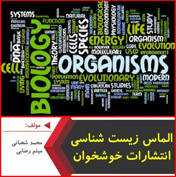 دانلود pdf کتاب الماس زیست شناسی-فصل پروتئین سازی|خوشخوان