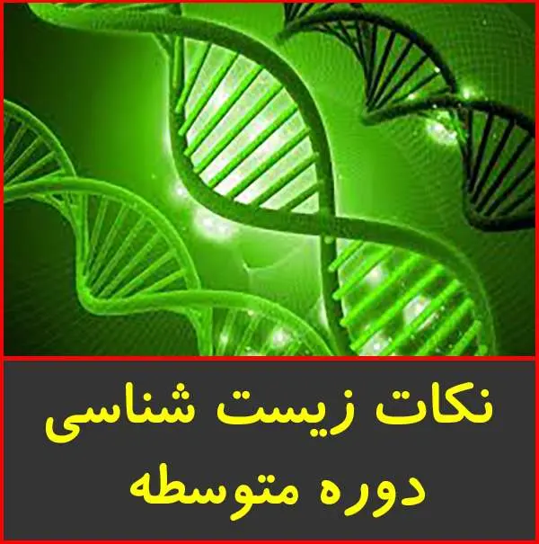 دانلود pdf کتاب ۱۱۱۰ نکته کنکوری زیست شناسی