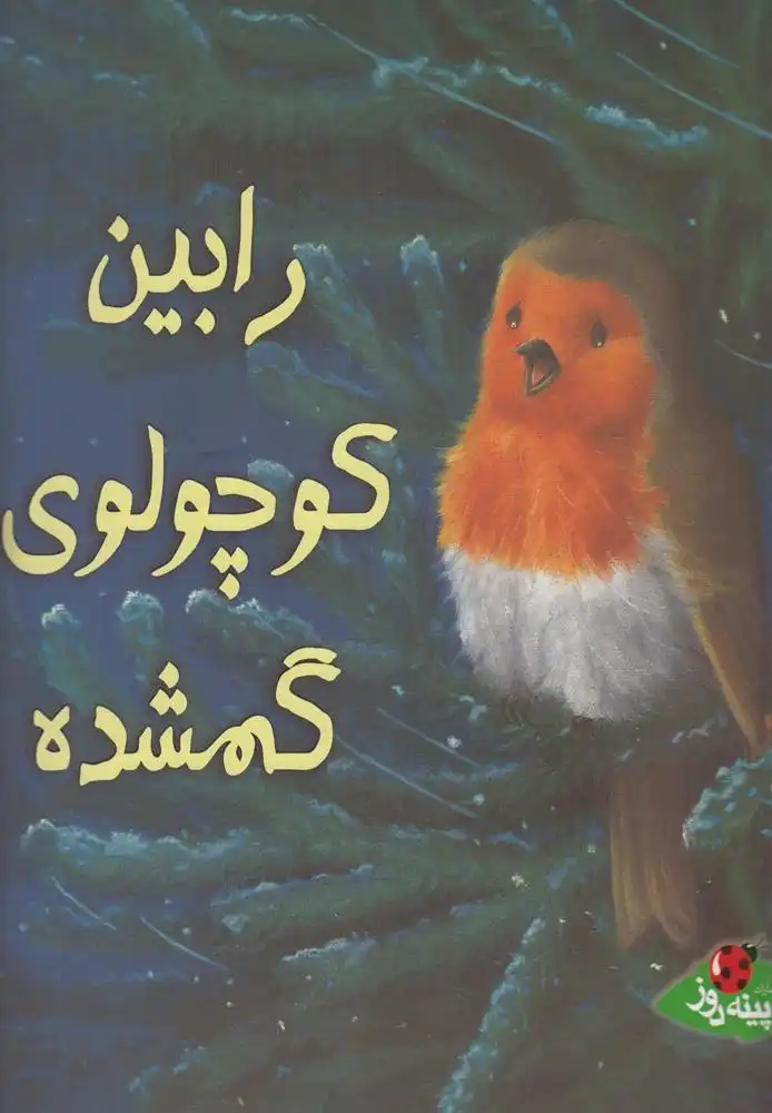 دانلود pdf کتاب رابین کوچولوی گمشده الیزابت باگولی