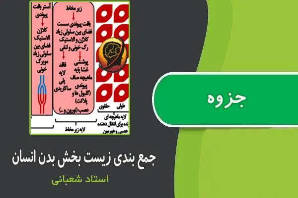 دانلود pdf کتاب جمع بندی زیست بخش بدن انسان از استاد شعبانی