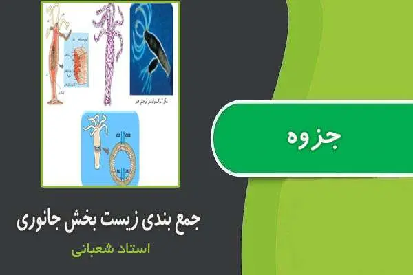 دانلود pdf کتاب جمع بندی زیست بخش جانوری از استاد شعبانی
