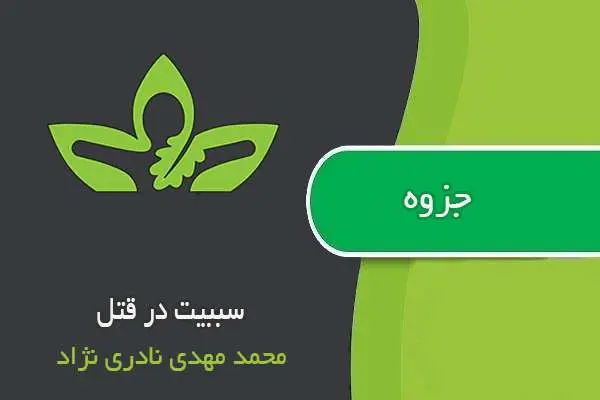 دانلود pdf جزوه سببیت در قتل محمدمهدی نادری نژاد
