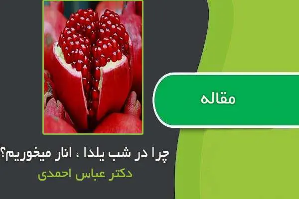دانلود pdf مقاله چرا در شب یلدا ، انار میخوریم از دکتر عباس احمدی