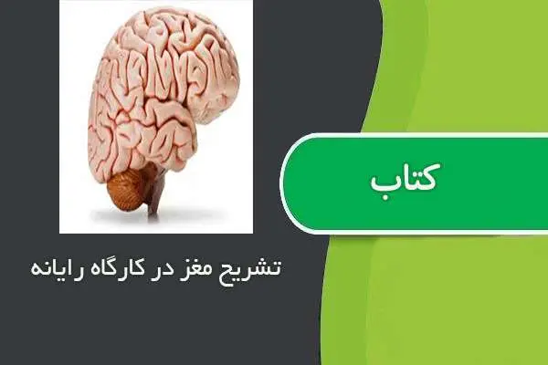 دانلود pdf جزوه تشریح مغز در کارگاه رایانه