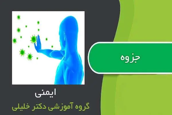 دانلود pdf جزوه خلاصه ایمنی دکتر خلیلی