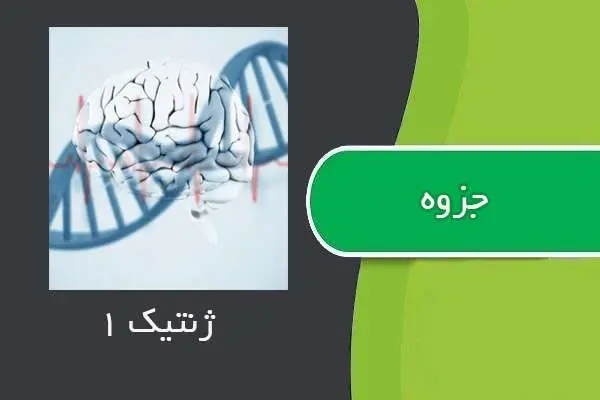 دانلود pdf جزوه ژنتیک ۱