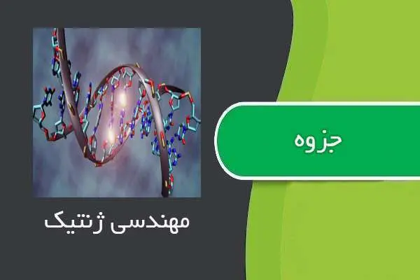 دانلود pdf جزوه چکیده مهندسی ژنتیک