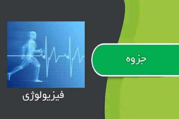 دانلود pdf جزوه کنکوری درس فیزیولوژی