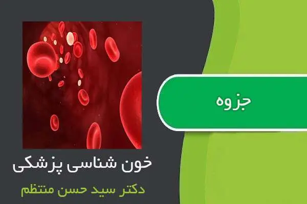 دانلود pdf جزوه درس خون شناسی پزشکی دکتر منتظم