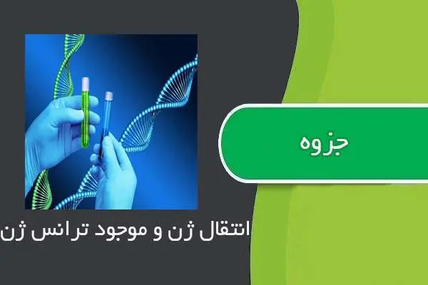 دانلود pdf جزوه انتقال ژن و موجود ترانس ژن