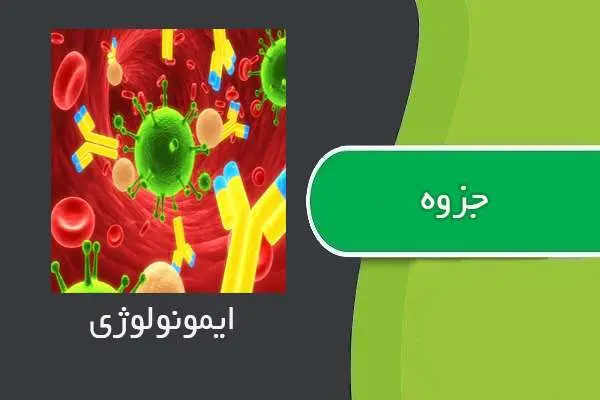 دانلود pdf جزوه ایمونولوژی