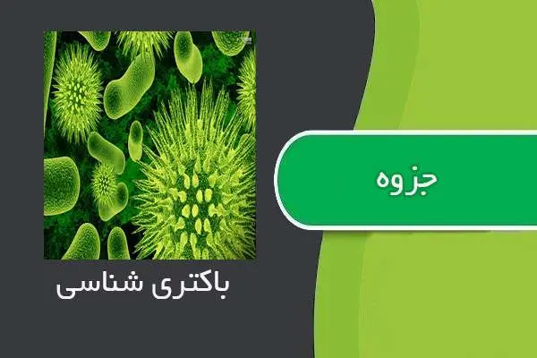 دانلود pdf جزوه چکیده درس باکتری شناسی