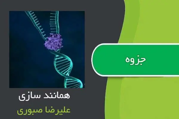 دانلود pdf جزوه همانند سازی از علیرضا صبوری