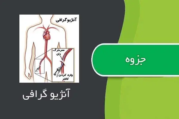 دانلود pdf جزوه آنژیوگرافی