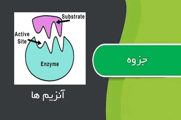 دانلود pdf جزوه آنزیم ها