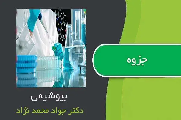 دانلود pdf جزوه بیوشیمی دکتر جواد محمد نژاد