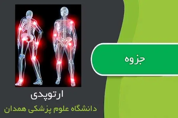دانلود pdf جزوه ارتوپدی دانشگاه علوم پزشکی همدان