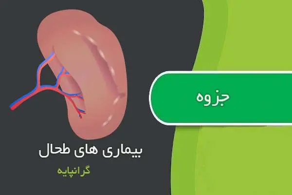 دانلود pdf جزوه بیماری های طحال دکتر گرانپایه