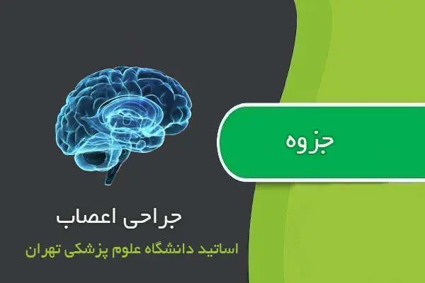 دانلود pdf جزوه جراحی اعصاب اساتید دانشگاه علوم پزشکی تهران