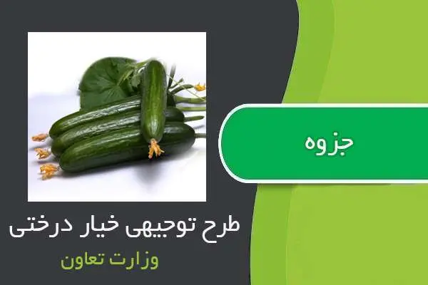 دانلود pdf کتاب طرح توجیهی خیار درختی