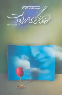 خرید و قیمت کتاب طوفان دیگری در راه است اثر سید مهدی شجاعی