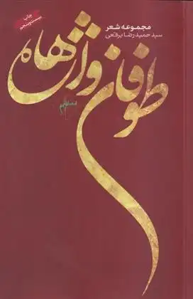 دانلود pdf کتاب طوفان واژه ها حمیدرضا برقعی