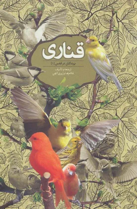 دانلود pdf کتاب قناری غلامرضا وزیری الهی