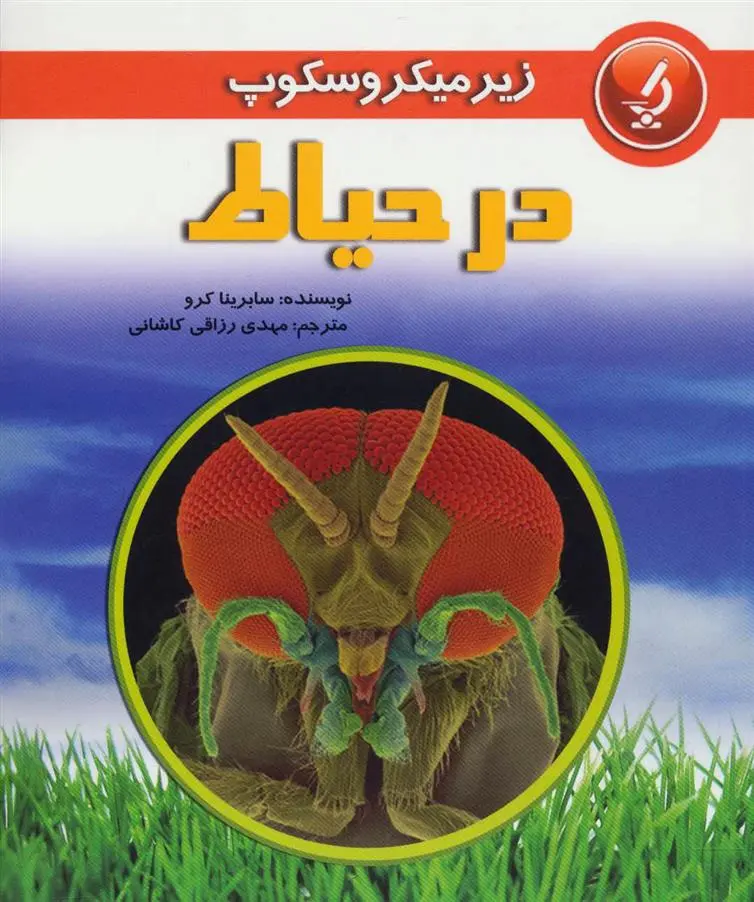 دانلود pdf کتاب در حیاط سابرینا کرو