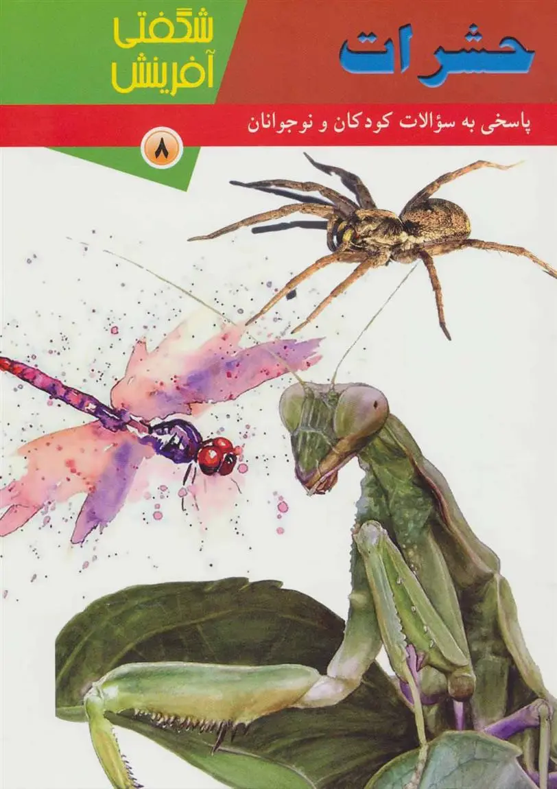 دانلود pdf کتاب حشرات سارا فیلیپس