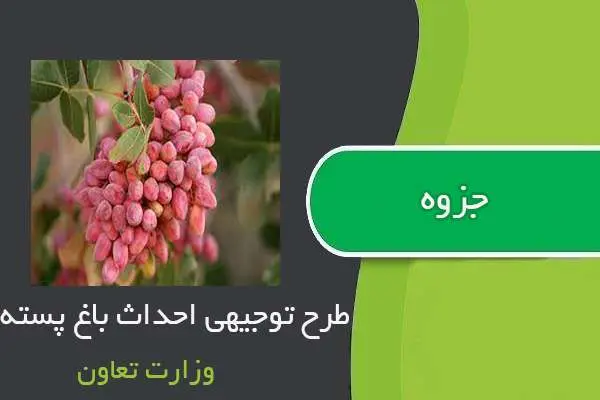 دانلود pdf کتاب طرح توجیهی احداث باغ پسته