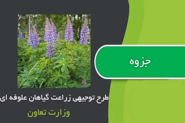 دانلود pdf کتاب طرح توجیهی زراعت گیاهان علوفه ای