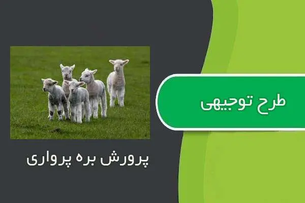 دانلود pdf کتاب طرح توجيهي پرورش بره پرواري