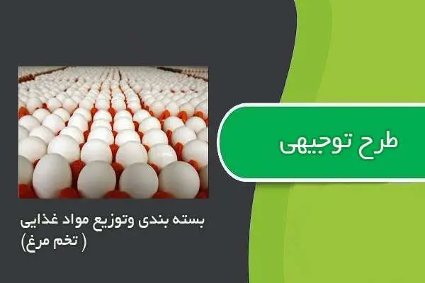 دانلود pdf کتاب طرح توجيهي بسته بندي تخم مرغ