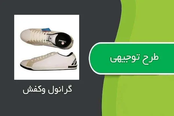 دانلود pdf کتاب طرح توجيهي گرانول وكفش