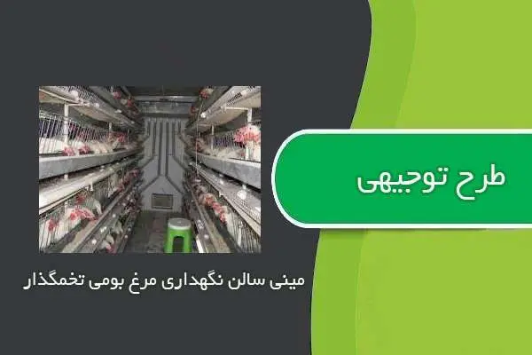 دانلود pdf کتاب طرح توجیهی مینی سالن نگهداری مرغ بومی تخمگذار