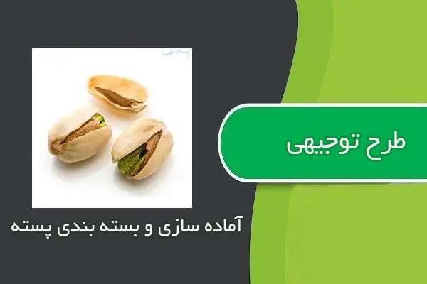 دانلود pdf کتاب طرح توجيهي آماده سازي و بسته بندي پسته