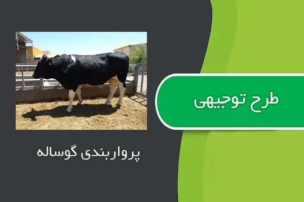 دانلود pdf کتاب طرح توجیهی پرواربندي گوساله