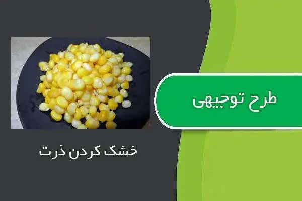 دانلود pdf کتاب طرح توجیهی خشك كردن ذرت