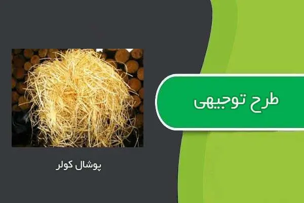 دانلود pdf کتاب طرح توجيهي پوشال كولر