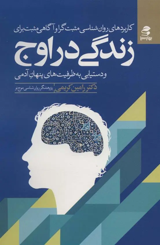 دانلود pdf کتاب زندگی در اوج رامین کریمی