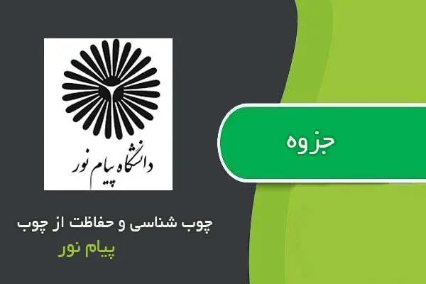 دانلود pdf جزوه چوب شناسی و حفاظت از چوب پیام نور