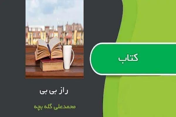 دانلود pdf کتاب راز بی بی محمدعلی گله بچه