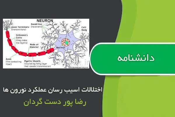 دانلود pdf کتاب دانشنامه اختلالات اسیب رسان عملکرد نورون ها