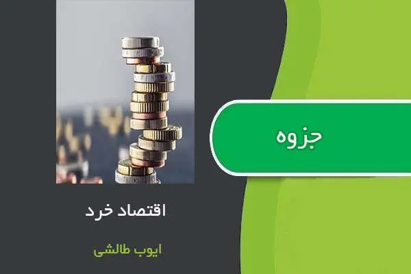 دانلود pdf جزوه اقتصاد خرد استاد ایوب طالشی