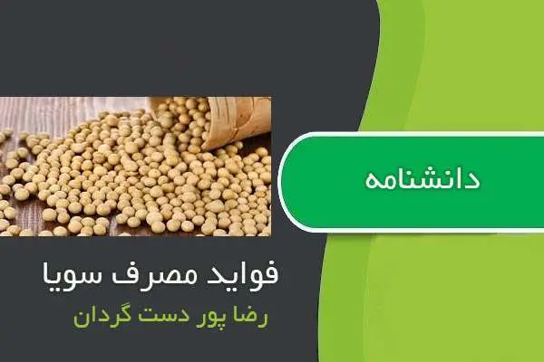 دانلود pdf کتاب دانشنامه فواید مصرف سویا