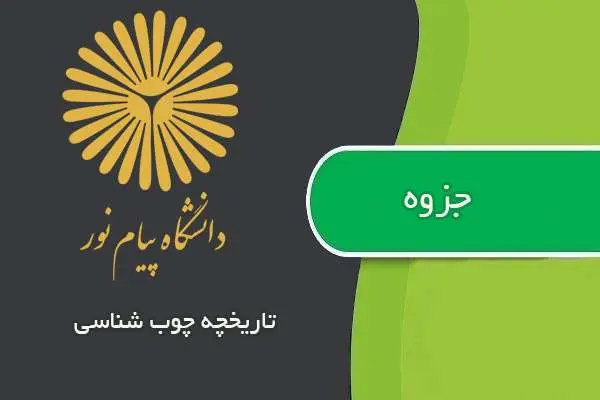 دانلود pdf جزوه تاريخچه چوب شناسي پیام نور